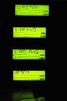 Petra u.d. Erben_30.jpg